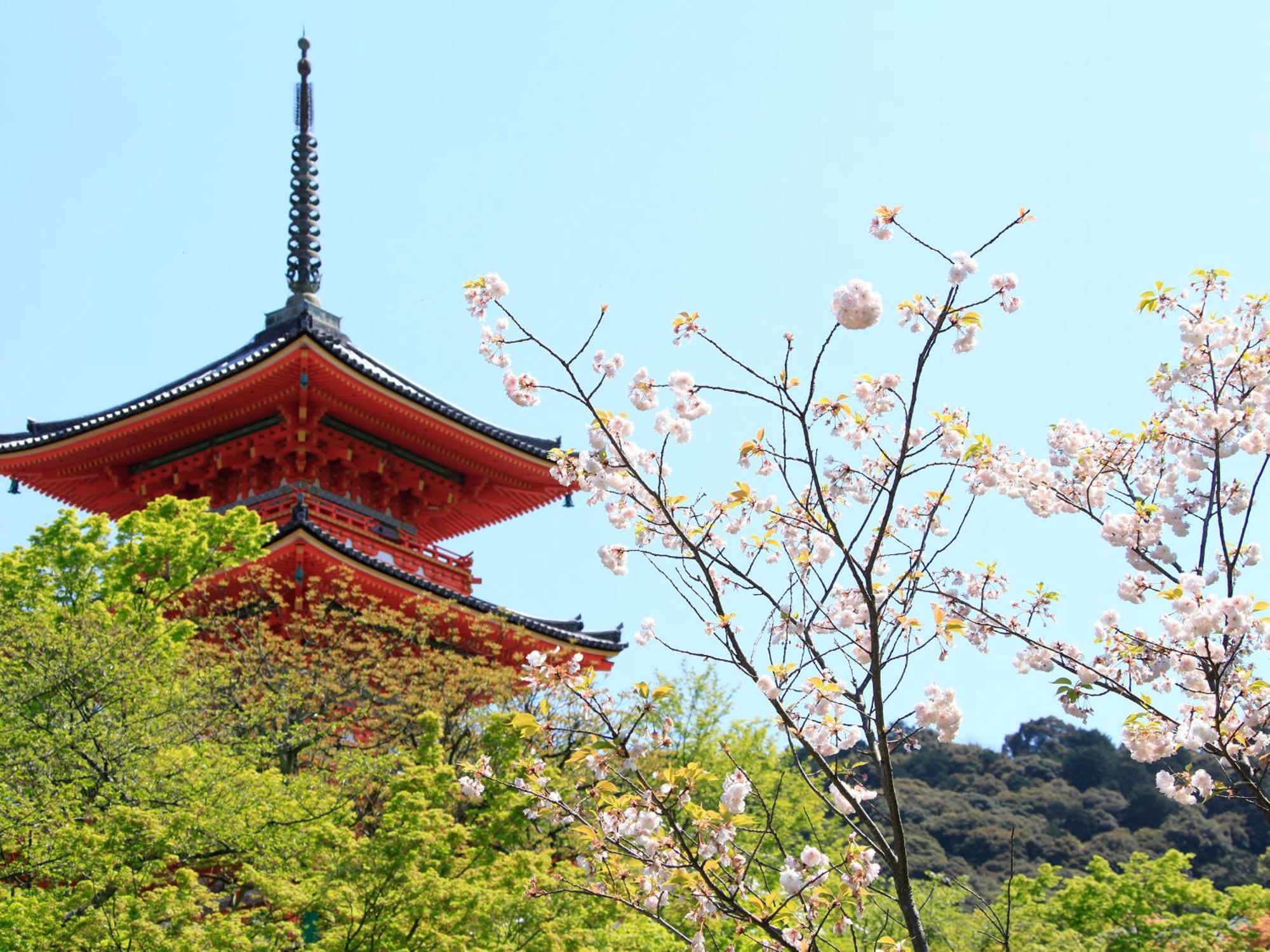 Vessel Hotel Campana Kyoto Gojo Exteriör bild